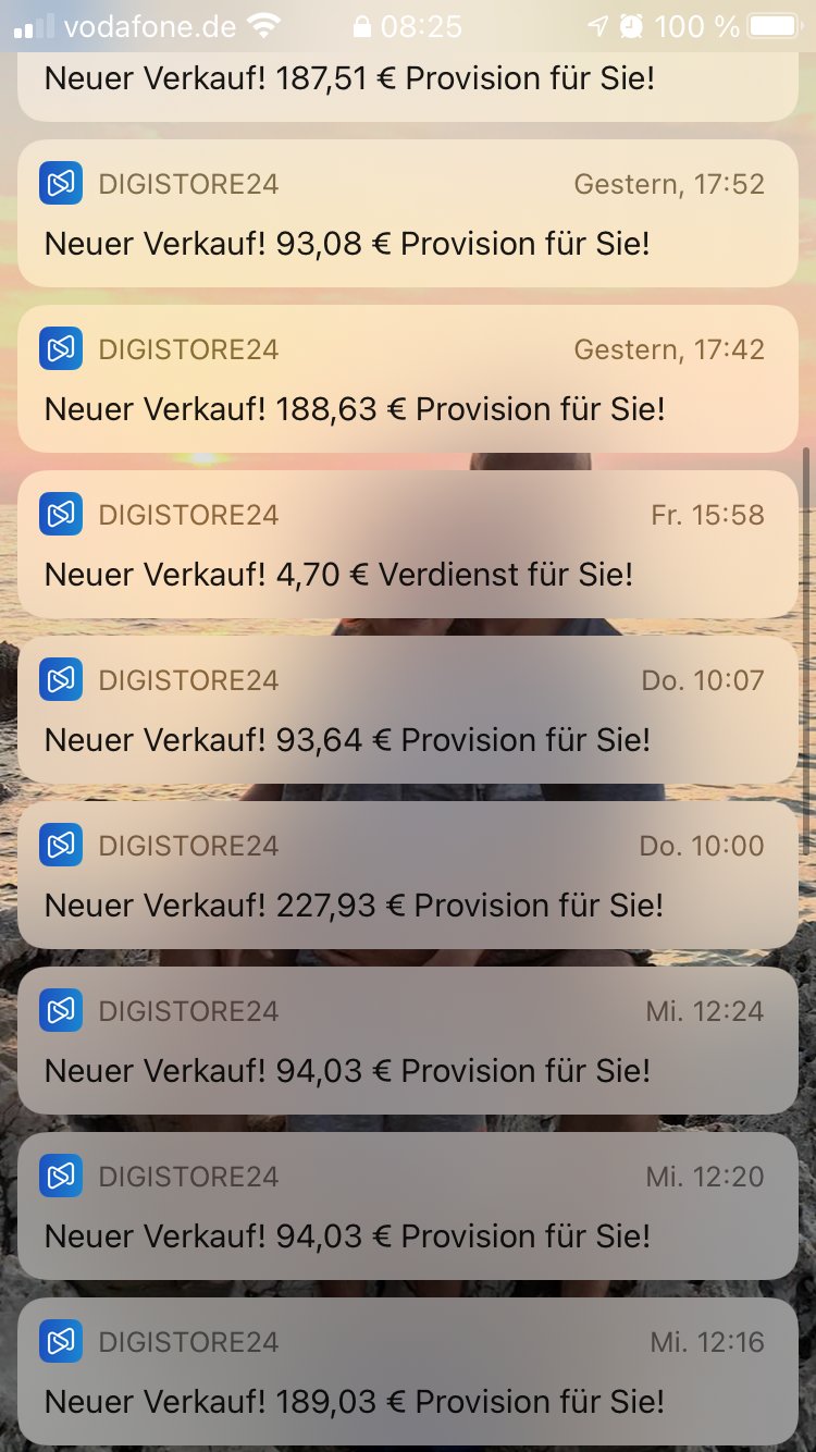 Digistore24 Verdienstnachweis 2