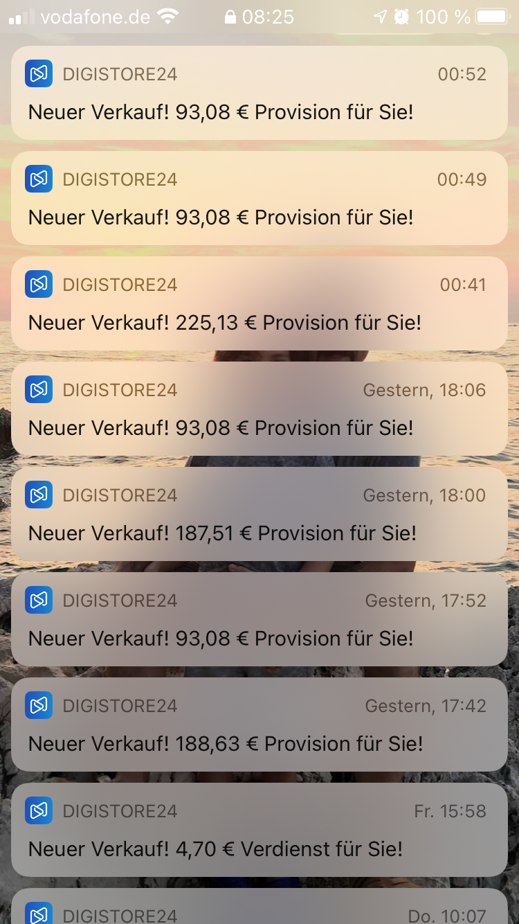 Digistore24 Verdienstnachweis 3